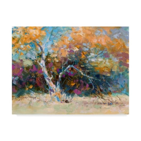 Julie G. Pollard 'Sycamore Trees' Canvas Art,24x32